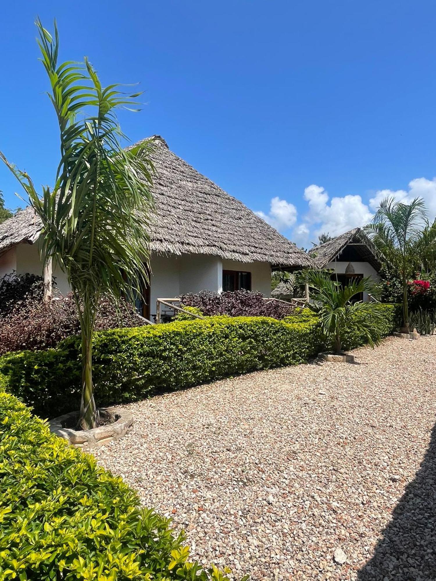 Kokopelli Bungalows Nungwi Dış mekan fotoğraf