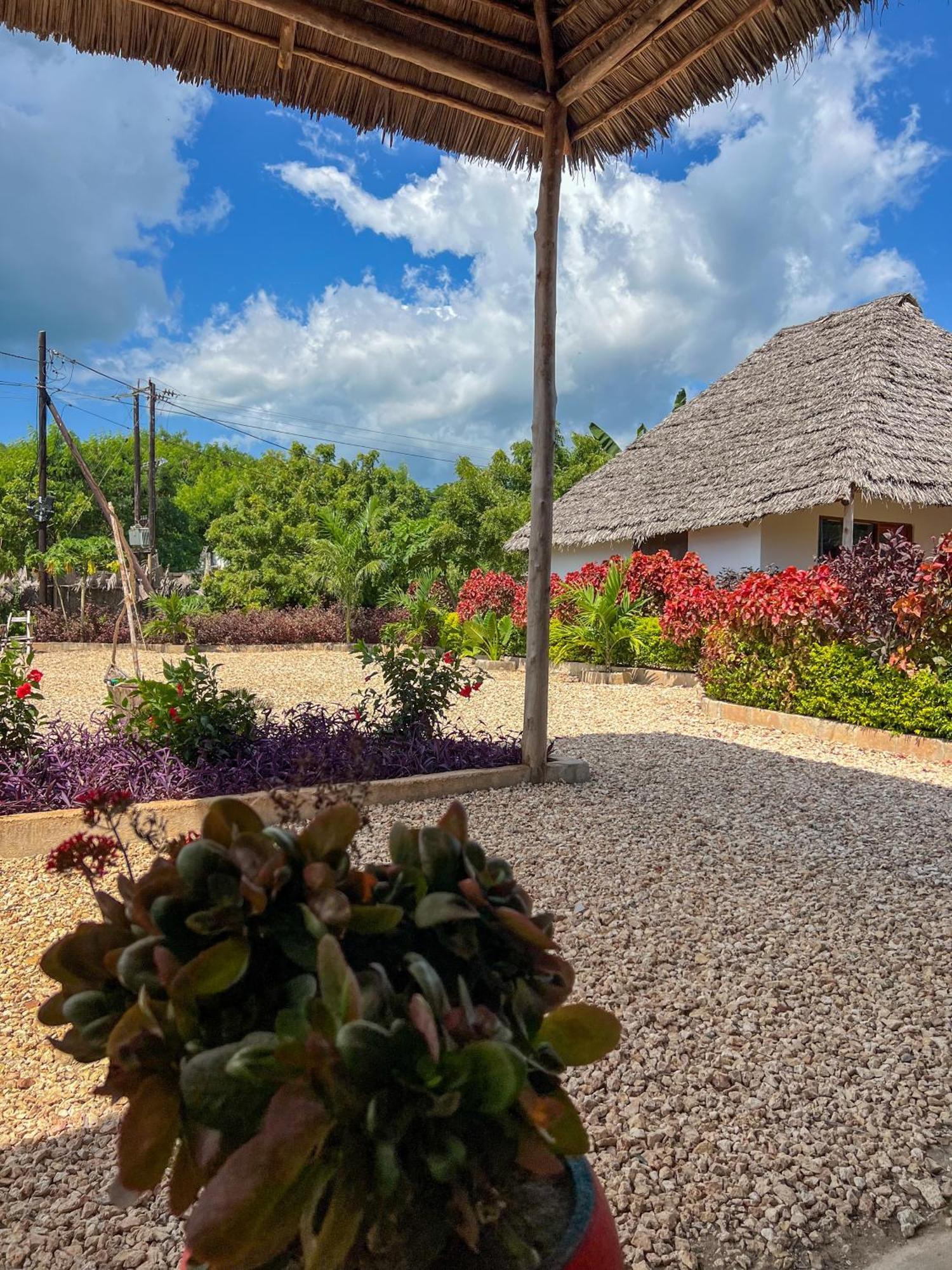 Kokopelli Bungalows Nungwi Dış mekan fotoğraf